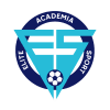 C.D.E. ELITE SPORT  logo