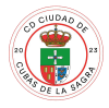 BROKEMBORO F.C. logo