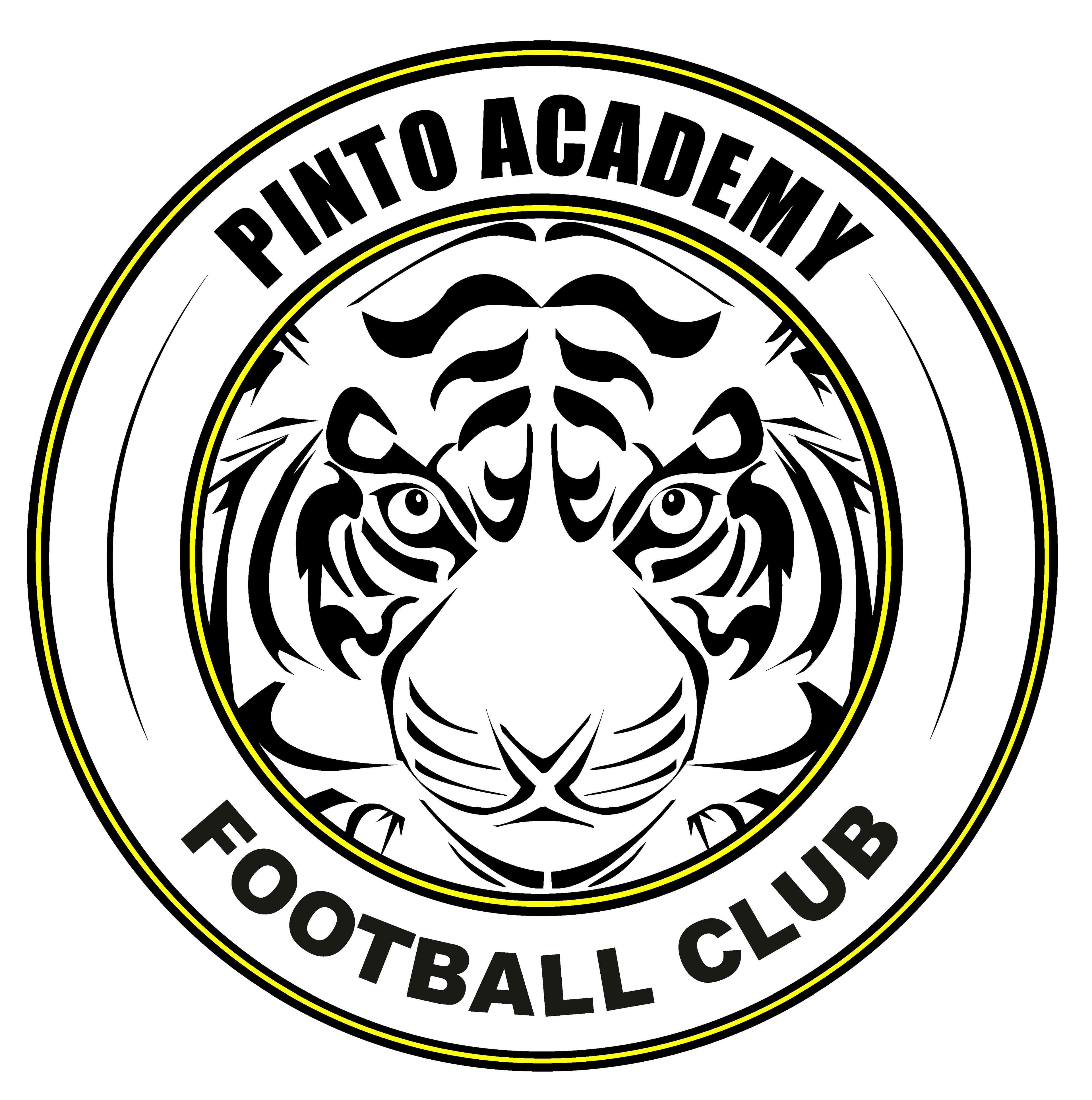 PINTO ACADEMY logo