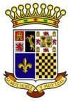 A.D. FUTBOL SALA CHINCHON logo