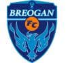 C.D. ESCUELA BREOGAN B logo