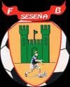 C.D. SESEÑA FUTBOL BASE logo