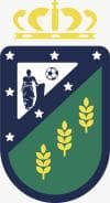 C.D. VILLANUEVA DE LA CAÑADA 'D' logo