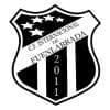 C.F. INTERNACIONAL DE FUENLABRADA logo