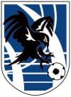 CDE FUENLABRADA FALCONS A logo
