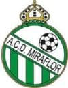 CULTURAL DEPORTIVO MIRAFLOR 'B' logo
