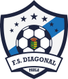 F.S. DIAGONAL B logo